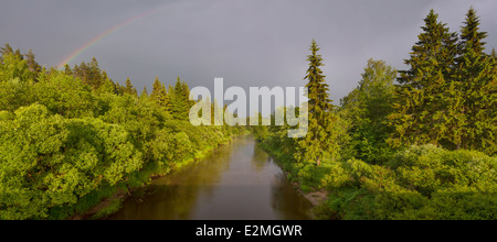 Sommerlandschaft ein Panorama mit dem Fluss und Wald Stockfoto