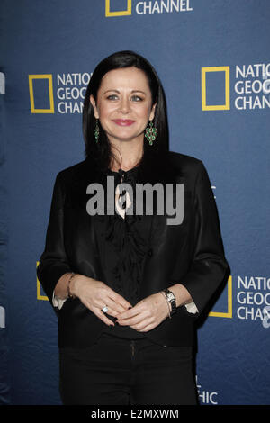 National Geographic Channels TCA Party im Langham Hotel in Pasadena, Kalifornien Featuring: Geraldine Hughes wo: Pasadena Stockfoto