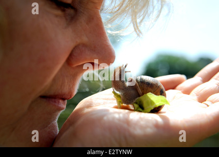 Frau mit einem gemeinsamen Garten Schnecke Cornu Aspersum auf die Palme Ihrer hand UK Stockfoto