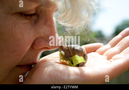 Frau mit einem gemeinsamen Garten Schnecke Cornu Aspersum auf die Palme Ihrer hand UK Stockfoto