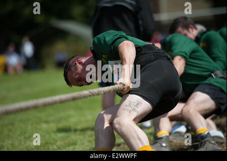 Lincoln, UK. 21. Juni 2014. Nationalen Outdoor Tauziehen Meisterschaften. Mitglieder des Vereins Holland Tauziehen im Wettbewerb im Finale der Herren 580 KG Klasse. Mannschaften aus über dem Land haben in der Kaserne Sobraon. Gewinner von vier Klassen werden eingeladen, bei den Weltmeisterschaften in Wisconsin, USA im August zu konkurrieren. Holland-Club aus Derbyshire, UK, gewann Silber, von zwei Dales Club geschlagen. Bildnachweis: David Mark/Alamy Live-Nachrichten Stockfoto