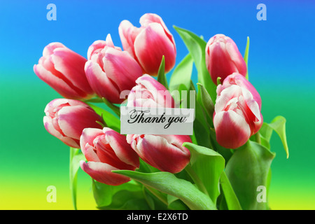 Dankeschön-Karte mit rosa Tulpen auf farbigen Hintergrund Stockfoto