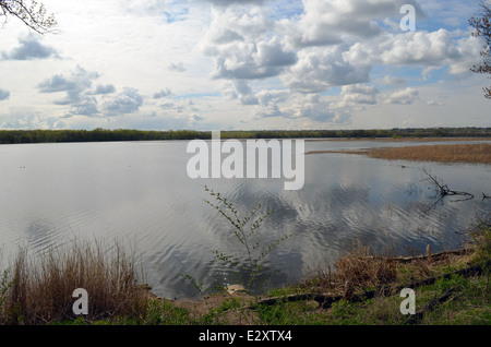 Bass-Teiche - Minnesota Valley National Wildlife Refuge Stockfoto