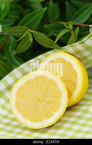 Zitrone-Hälften auf kariertem Stoff Stockfoto