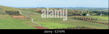 Umgebung von Alcázar de San Juan (Ciudad Real, Spanien) nahe den Windmühlen. Don Quijote-Land. Stockfoto