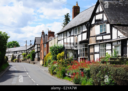 Ttraditional weißen Fachwerkhaus Gebäude zeigt Bereiche der Restaurierung mit Flechtwerk und Lehm Methode entlang East Street, Pembridge. Stockfoto