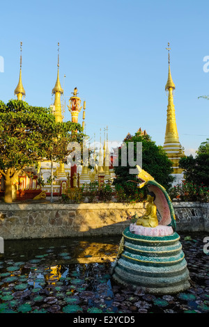 Pool mit Naga, Kyauk Phyu Gyi Pagode, Nanthe, Myanmar, Asien Stockfoto