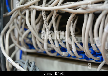 Nahaufnahme des Chaos Muster Ethernet-Kabel mit Computer-Internet-Server verbunden Stockfoto