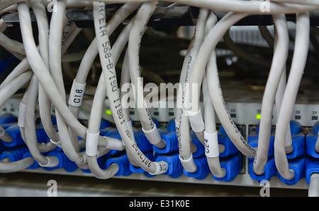 Nahaufnahme des Chaos Muster Ethernet-Kabel mit Computer-Internet-Server verbunden Stockfoto