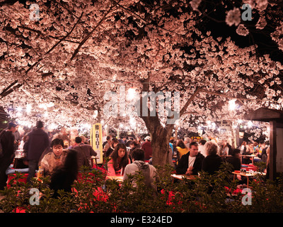 Menschen Essen im Freien unter Kirschblüte bei Nacht im Maruyama Park, Gion, Kyoto, Japan 2014 Stockfoto