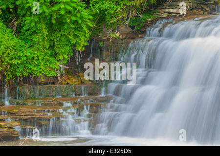 Wasserfälle im Glen Park, Williamsville New York. Stockfoto