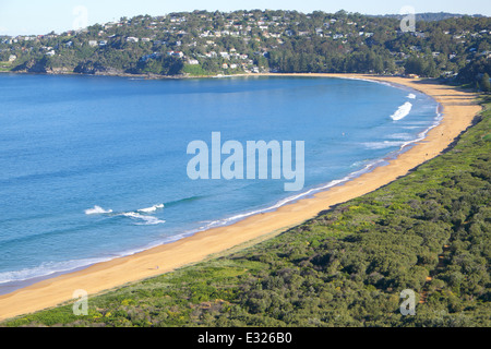 Blick auf Sydneys Palmenstrand von Barrenjoey Headland, Sydney, NSW, Australien Stockfoto