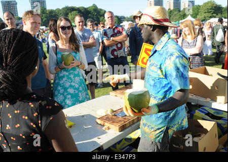 Africa Oye Festival 2014. Samstag 21. & Sonntag, 22. Juni 2014. Überprüfen Sie Feld, Sefton Park, Liverpool, England, Vereinigtes Königreich. Festival Essen Stockfoto