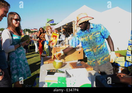 Africa Oye Festival 2014. Samstag 21. & Sonntag, 22. Juni 2014. Überprüfen Sie Feld, Sefton Park, Liverpool, England, Vereinigtes Königreich. Festival Essen Stockfoto