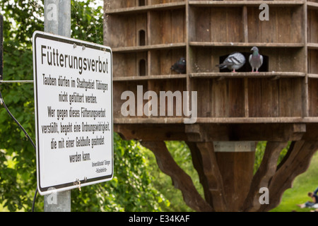 Verfütterungsverbot, werden Tauben nicht in Tübingen, Schilder, Taubenschlag, Neckar Insel eingezogen, Stockfoto