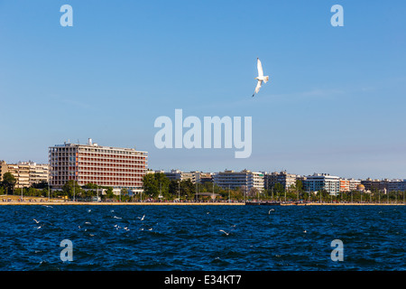 Thessaloniki direkt am Meer und die Stadt am Nachmittag vor einem blauen Himmel mit Möwe fliegen über den Himmel Stockfoto