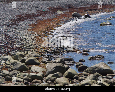 Küstenabschnitt von Jæren Norwegen mit abgerundeten Steinen und Seetang aus den Wellen der Nordsee Stockfoto