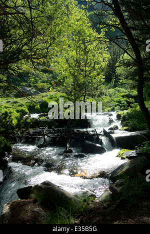 Fluss in Eyne Frankreich Stockfoto