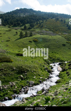 Fluss in Eyne Frankreich Stockfoto