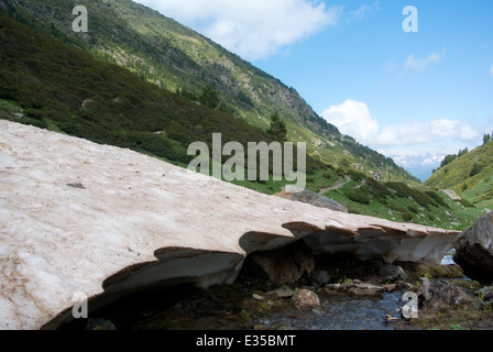 Kühe in Frankreich Eyne Bergen Stockfoto