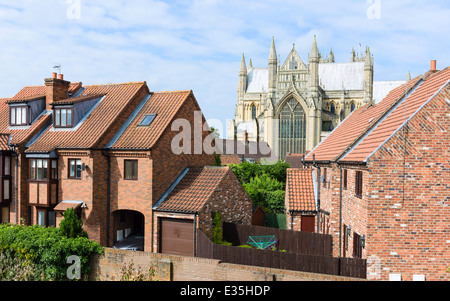 Das Münster, fotografiert an einem feinen Sommertag flankiert von Wohnhäusern in Beverley, Yorkshire, Großbritannien. Stockfoto