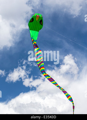 Schlange Schlange geformt Kite vor einem Colorado-Himmel Stockfoto