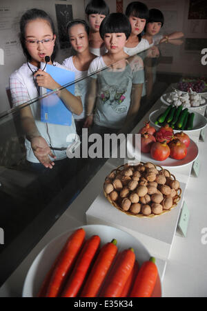 (140622)--HANZHONG, 22. Juni 2014 (Xinhua)--Besucher sehen in einer Ausstellung auf dem Grab von Zhang Qian in Chenggu County von Hanzhong, Nordwesten der chinesischen Provinz Shaanxi, 21. Juni 2014. Zhang Qian (ca. 164-114 v. Chr.) war ein einflussreicher Diplomat von Chinas westlichen Han-Dynastie (202 v. Chr. - 9 n. Chr.) und einer der Pioniere der Seidenstraße. Die berühmten alten Seidenstraße, diente als ein Korridor für den Handel und kulturellen Austausch zwischen Asien und Europa vor 2.000 Jahren stammt, wurde auf die Liste des Welterbes in Doha, der Hauptstadt von Katar am 22. Juni 2014 eingeschrieben. Gemeinsam verfasst von China, Ka Stockfoto