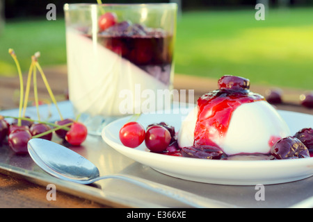Süße Pannacotta mit Kirschsauce. Selektiven Fokus auf die Pannacotta in Platte Stockfoto