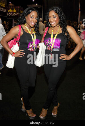 EXXXOTICA Chicago 2013 bei der Donald E Stephens Convention Center mit: die Benson Zwillinge wo: Rosemont, Illinois, Vereinigte Staaten, wann: 13. Juli 2013 Stockfoto