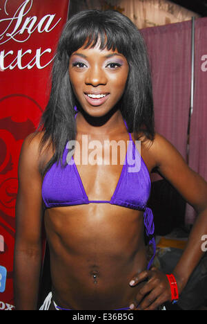 EXXXOTICA Chicago 2013 bei der Donald E Stephens Convention Center mit: Ana Foxxx wo: Rosemont, Illinois, Vereinigte Staaten, wann: 13. Juli 2013 Stockfoto