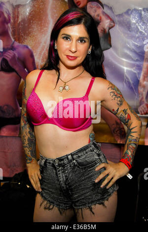 EXXXOTICA Chicago 2013 bei der Donald E Stephens Convention Center mit: Joanna Angel wo: Rosemont, Illinois, Vereinigte Staaten, wann: 13. Juli 2013 Stockfoto