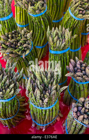 Trauben von frischem Spargel zum Verkauf an ein Bauernmarkt im pazifischen Nordwesten Stockfoto