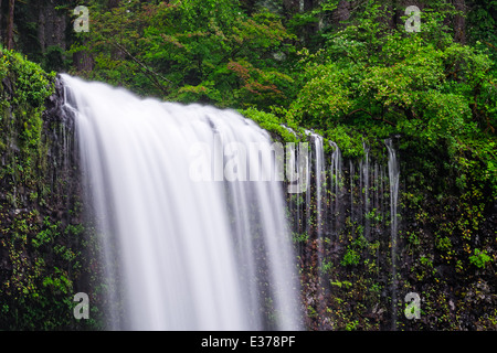 Stockfoto