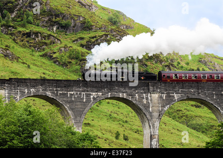 Dampfzug auf Glenfinnan Viadukt, bekannt aus Harry Potter Stockfoto