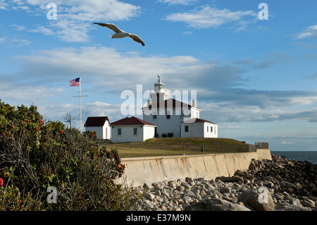 Möwe fliegt über Watch Hill Leuchtturm an einem warmen Sommertag entlang der felsigen Küste von Rhode Island. Die Rundumleuchte wird durch eine Ufermauer vor Stürmen geschützt. Stockfoto