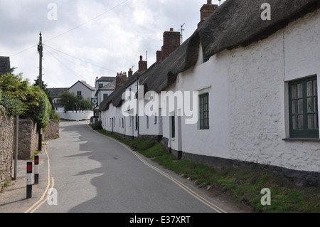 Größe in der South Hams, Devon, UK Stockfoto