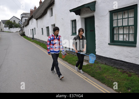 Größe in der South Hams, Devon, UK Stockfoto