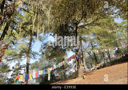 Gebetsfahnen auf dem Weg zum Kloster Taktshang Goemba in niedrigen Wolken, Paro-Tal, Bhutan Stockfoto