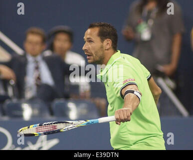 Andy Murray schlägt Michaël Llodra bei US OPEN Tennis Match Featuring: Michaël Llodra wo: Flushing Meadows, New York, USA bei: 29. August 2013 Stockfoto