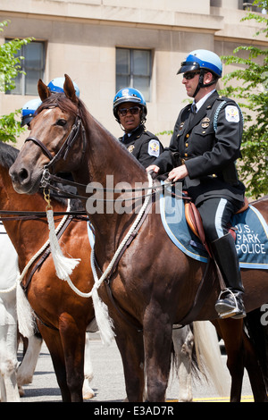 US Park Police montierten Einheit - Washington, DC USA Stockfoto