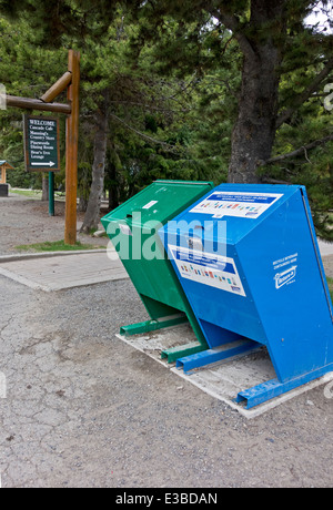 Nachweis und tierische Beweis Müllcontainer zu tragen.  In Manning Provincial Park, Britisch-Kolumbien, Kanada. Stockfoto