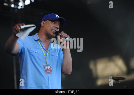 Africa Oye Festival 2014. Samstag 21. & Sonntag, 22. Juni 2014. Überprüfen Sie Feld, Sefton Park, Liverpool, England, Vereinigtes Königreich. Paul Duhaney - Direktor von Africa Oye befasst sich mit die Masse am Ende des Wochenendes. Bildnachweis: David Colbran/Alamy Live-Nachrichten Stockfoto