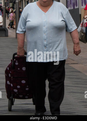 Pläne, Sheffield Fettleibigkeit in fünf Jahren zu halbieren sind durch Stadtrat Jack Scott aufgedeckt worden. Stockfoto