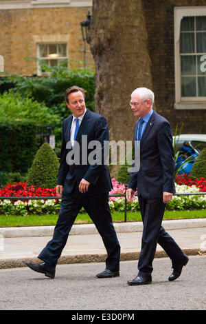 London, 23. Juni 2014. Premierminister David Cameron begrüßt EU-Präsident Herman Van Rompuy zur Downing Street. Bildnachweis: Paul Davey/Alamy Live-Nachrichten Stockfoto