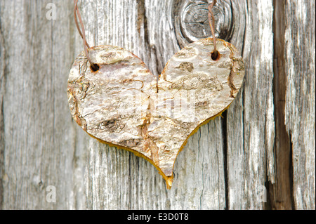 Herz aus Holz auf Rinde Baum geschnitzt Stockfoto