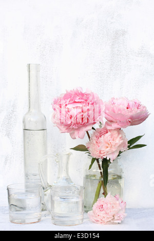 Schöne rosa Pfingstrosen im Glas-Vase auf weißen gemalten Hintergrund, Stillleben Stockfoto