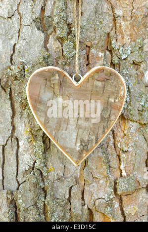 Herz auf Baumrinde aus Holz geschnitzt Stockfoto