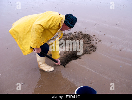 Männer bei der Arbeit, bait Graben Ulrome Yorkshire UK Stockfoto