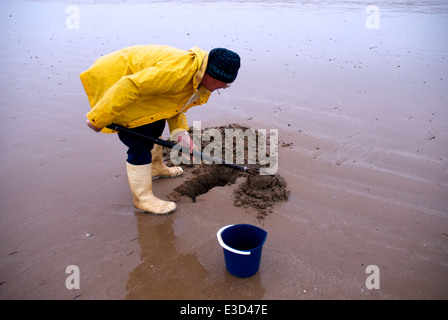 Männer bei der Arbeit, bait Graben Ulrome Yorkshire UK Stockfoto