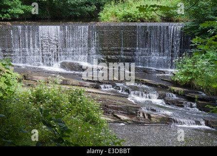 Birkacre Wehr auf den Fluss Yarrow in Schafgarbe Valley Country Park, Copparo, Lancashire, Großbritannien. Stockfoto